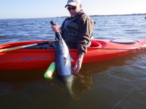 Howie tickled the toothy one as he set him free.