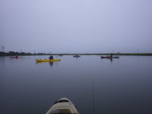 The plastic fleet drifting with the tide.